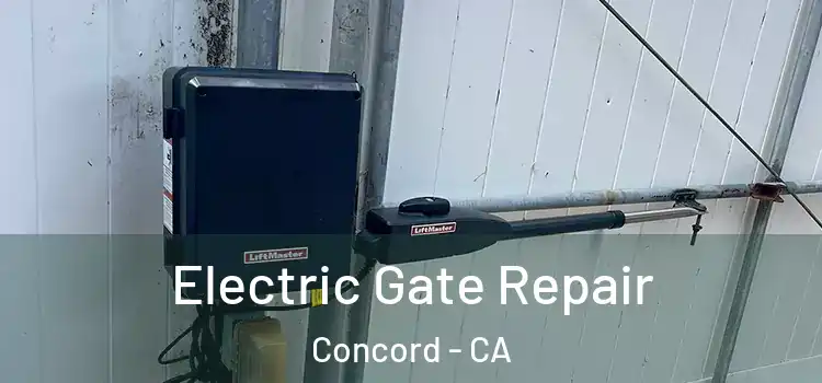  Electric Gate Repair Concord - CA