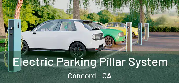  Electric Parking Pillar System Concord - CA