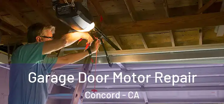  Garage Door Motor Repair Concord - CA