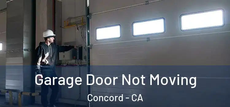  Garage Door Not Moving Concord - CA
