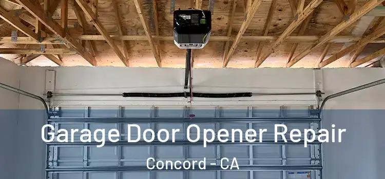  Garage Door Opener Repair Concord - CA