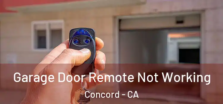 Garage Door Remote Not Working Concord - CA
