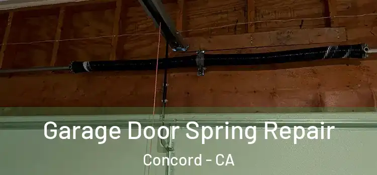  Garage Door Spring Repair Concord - CA