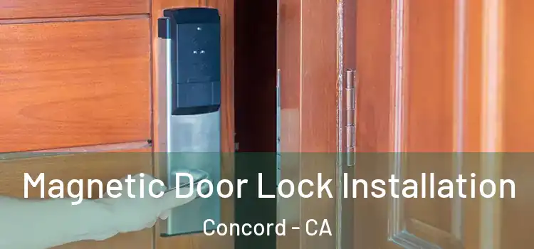  Magnetic Door Lock Installation Concord - CA