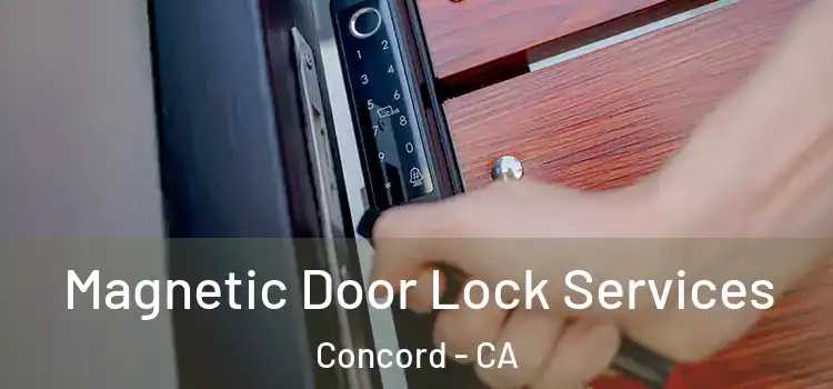Magnetic Door Lock Services Concord - CA