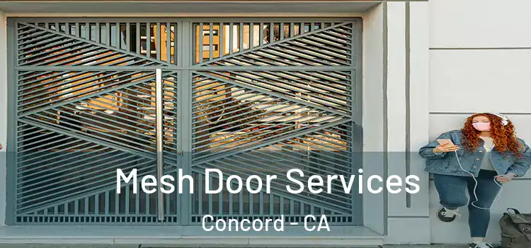 Mesh Door Services Concord - CA