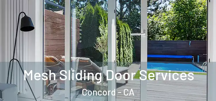 Mesh Sliding Door Services Concord - CA