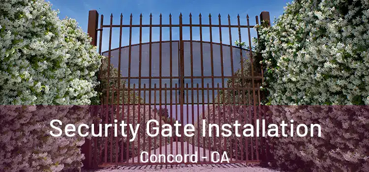 Security Gate Installation Concord - CA